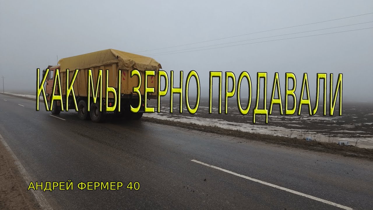 ГРЕБЕМ ЗЕРНО ЛОПАТОЙ, ПРОДАЖА ЗЕРНА,ЧТО С ЦЕНАМИ?