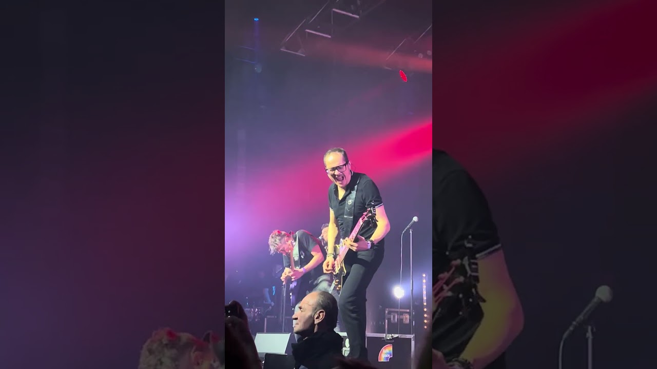 Les Fatals Picards - Punkachien