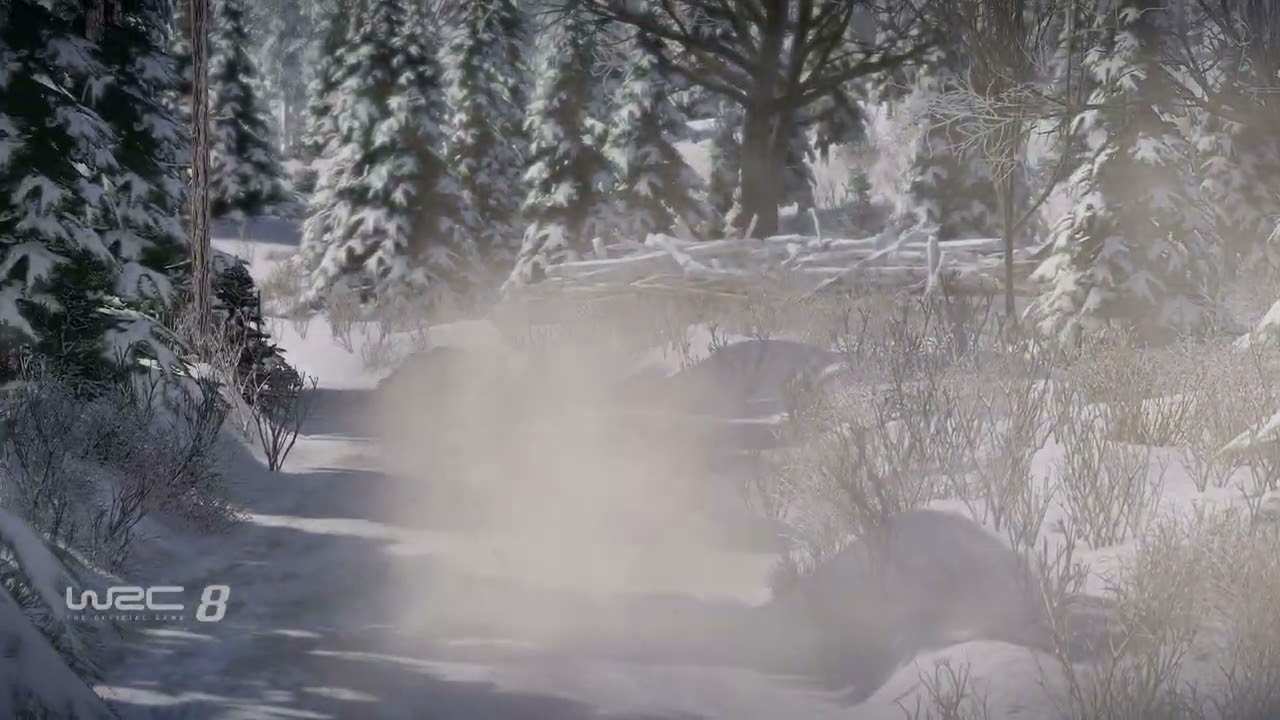 WRC8 Off my game 1