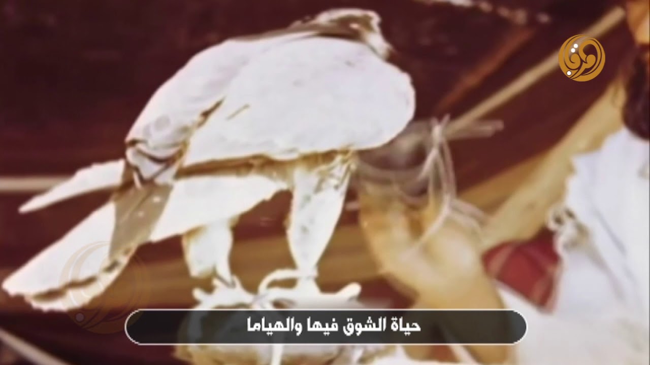 سقى غيث الحيا مزن تهامى - شعر - محمد بن لعبون اداء - صالح الحريبي