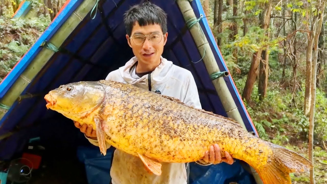 探钓水库垂钓巨物！小宋钓起百斤翘嘴，给老表留下了坚实的物资！【小宋野钓】