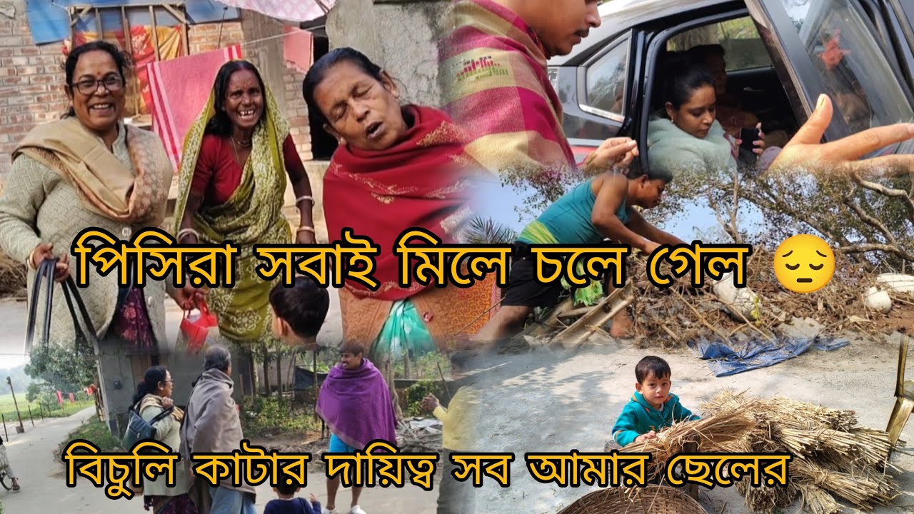 পিসিরা সবাই চলে গেল 😔 সবাই একসাথে পেয়ে ছেলে খুব খুশি 🥰