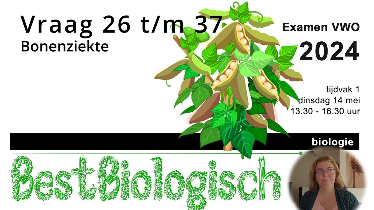 Biologie examen VWO 2024 1e tijdvak Vraag 26 t/m 37