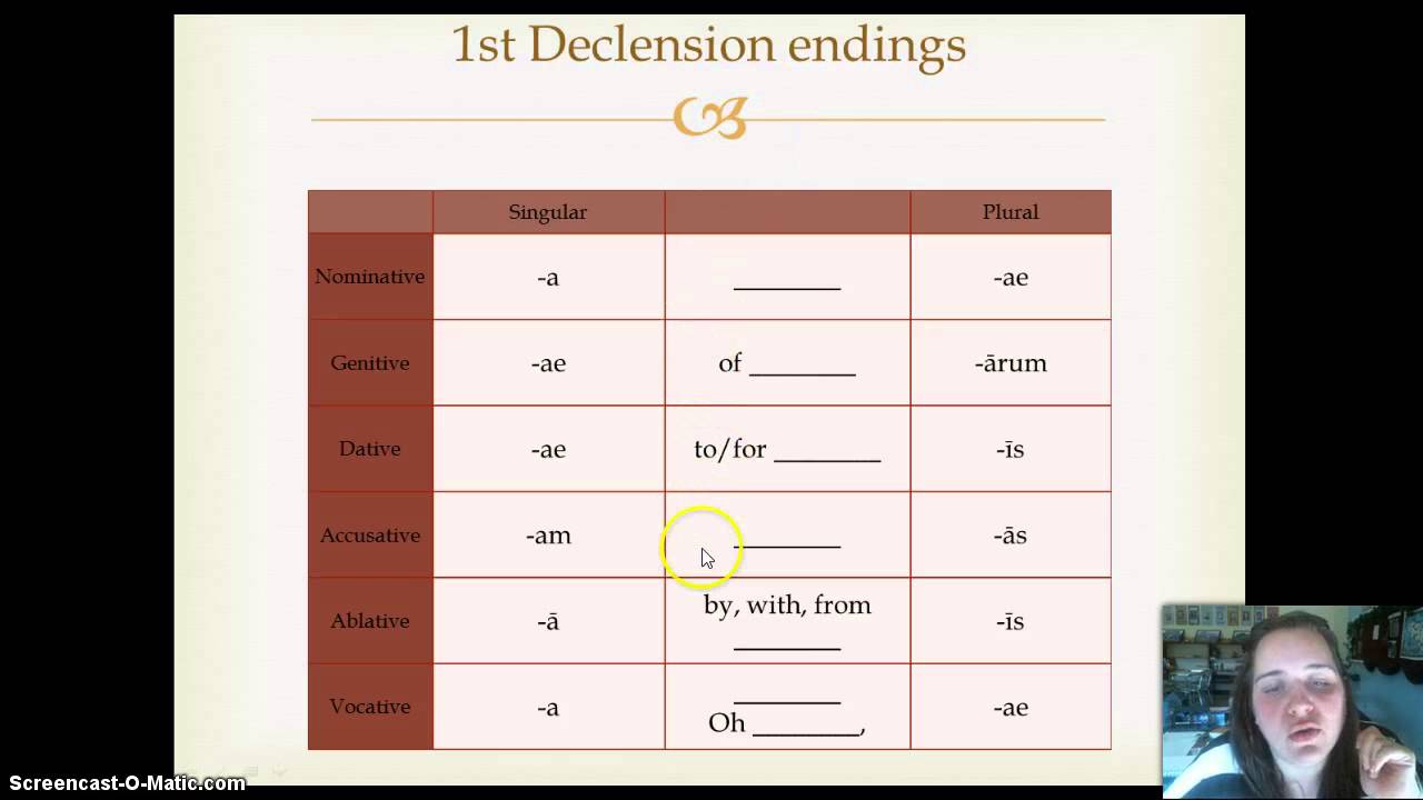 Ch. 2: 1st Declension Nouns/Feminine Adjectives