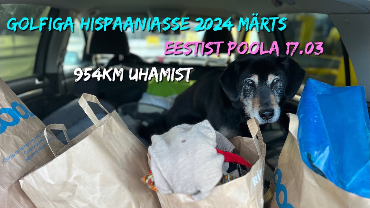 🇪🇪🇱🇻🇱🇹🇵🇱 954 km roolis. Eestist- Poola koera ja Golfiga. Märts 2024