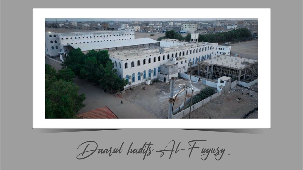 PROFIL DARUL HADITS AL-FUYUSY | YAMAN SELATAN