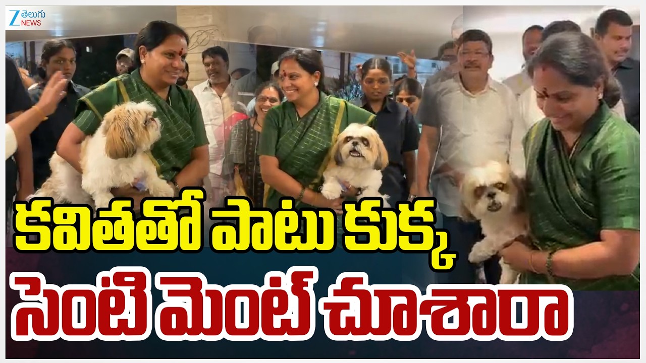Kalvakuntla Kavitha |  కవితతో పాటు కుక్క సెంటి మెంట్ చూశారా | Zee Telugu News