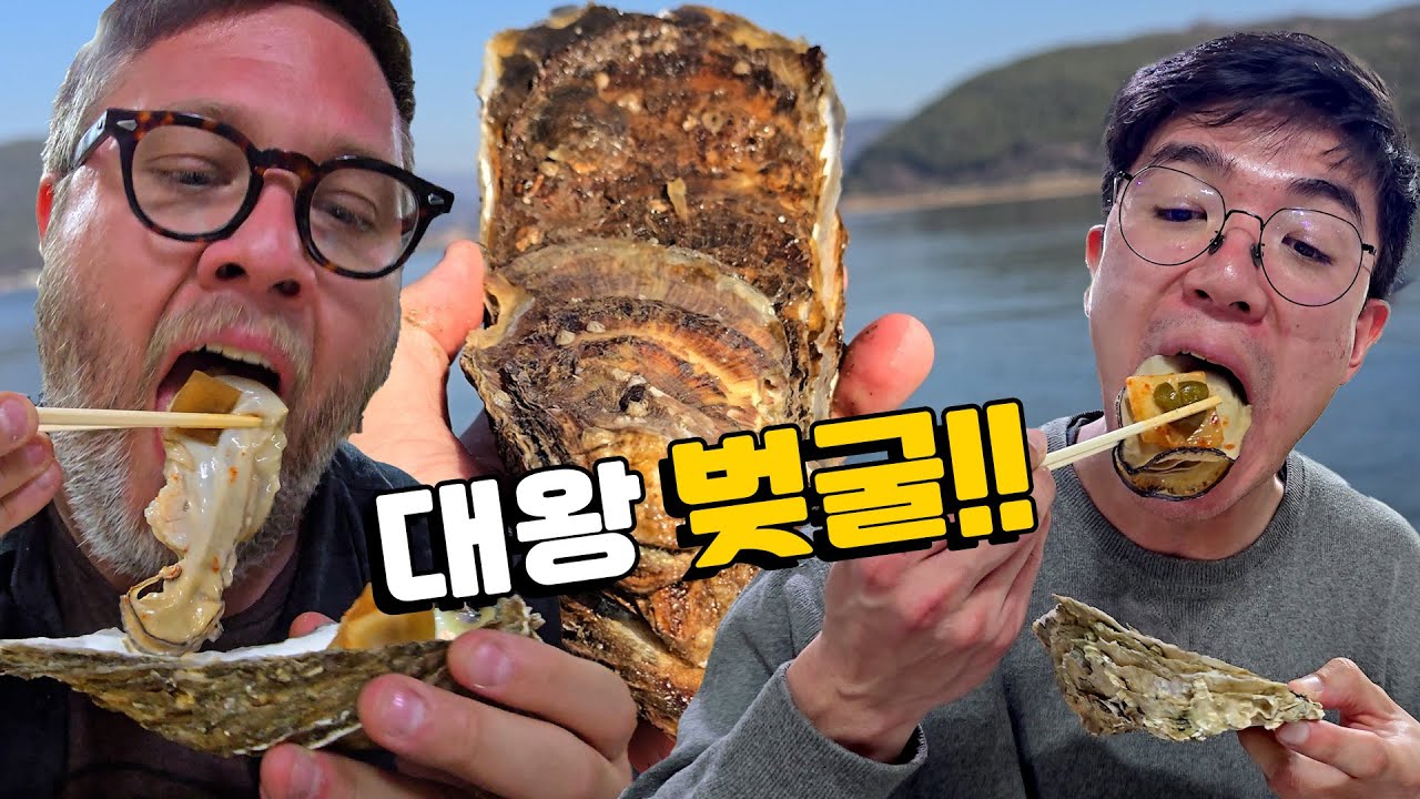 굴을 좋아하는 친구첫 벚굴 반응은? 섬진강 대왕 '벚굴' 외국인 먹방! 생굴, 굴찜, 굴구이... 살면서 이렇게 큰 굴은 처음이에요. @Johnny Kyunghwo