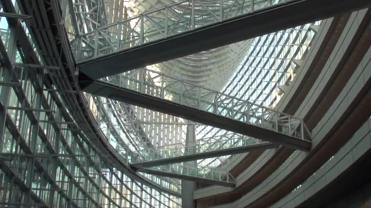 SONY HANDYCAM HDR-XR520V