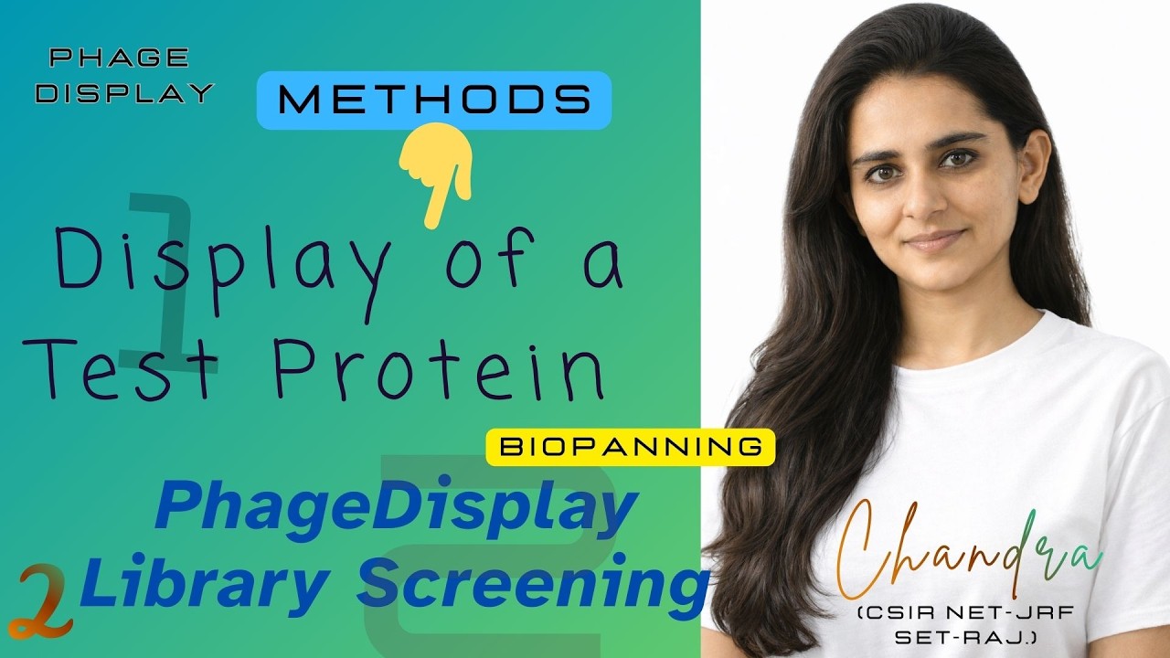 Part 2 – METHODS : Display of a Test Protein & Library Screening | Biopanning of Phage Display