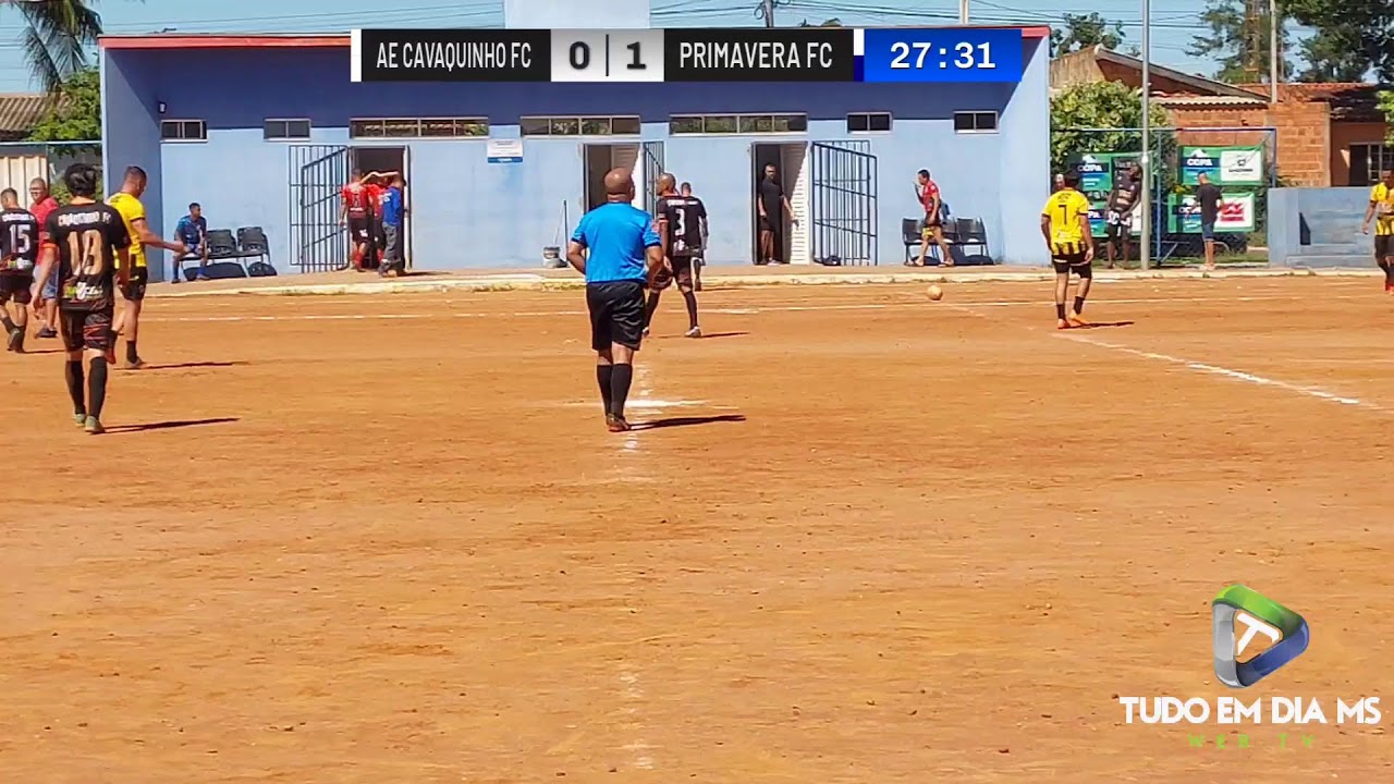 Transmissão ao vivo de Tudo em dia MS