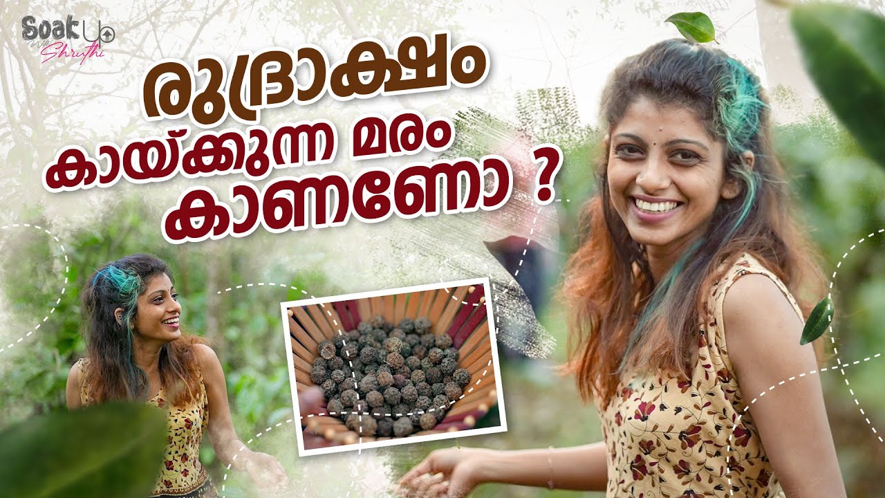രുദ്രാക്ഷം കായ്ക്കുന്ന മരം കാണണോ ? | Paradisa Plantation Retreat & Resort | Shruthi Rajanikanth