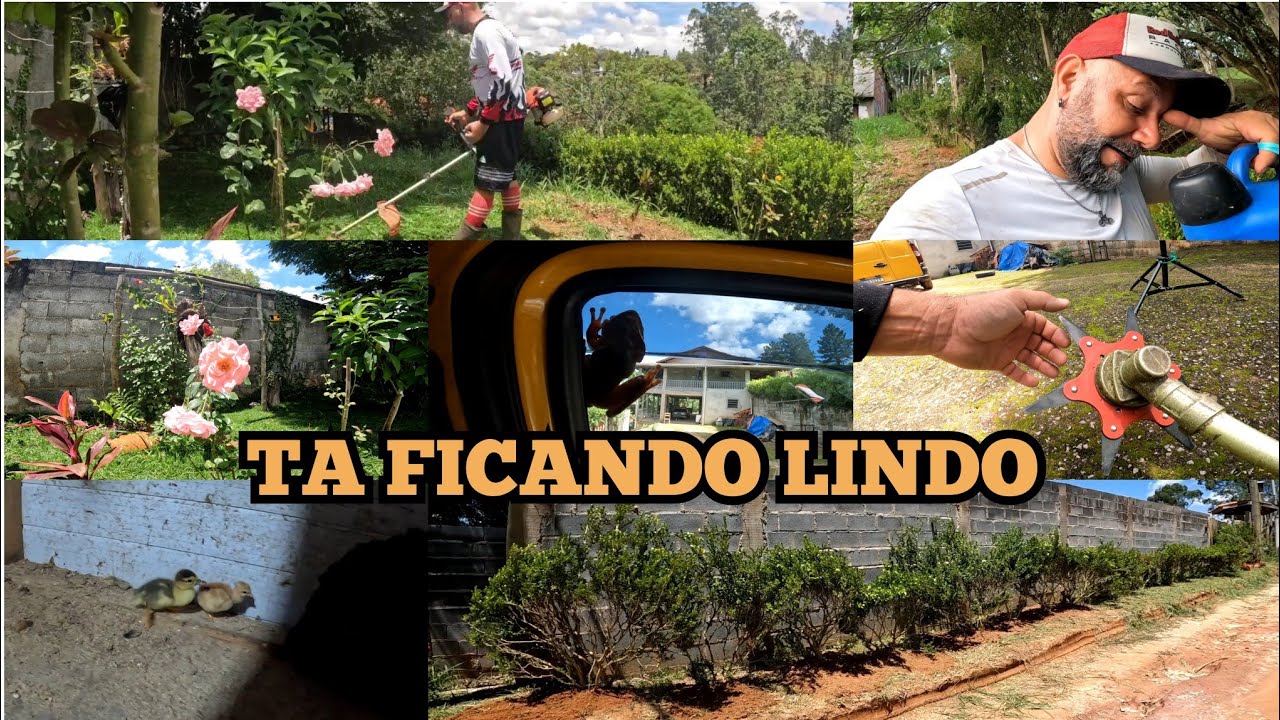 UM PASSAGEIRO INDESEJAVEL / NASCIMENTOS NA CHACARA DA MAMIS