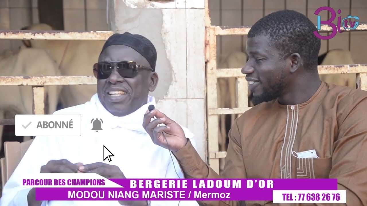 PARCOURS DES CHAMPIONS BERG LADOUM D OR MODOU NIANG MARISTE 2éme PARTIE