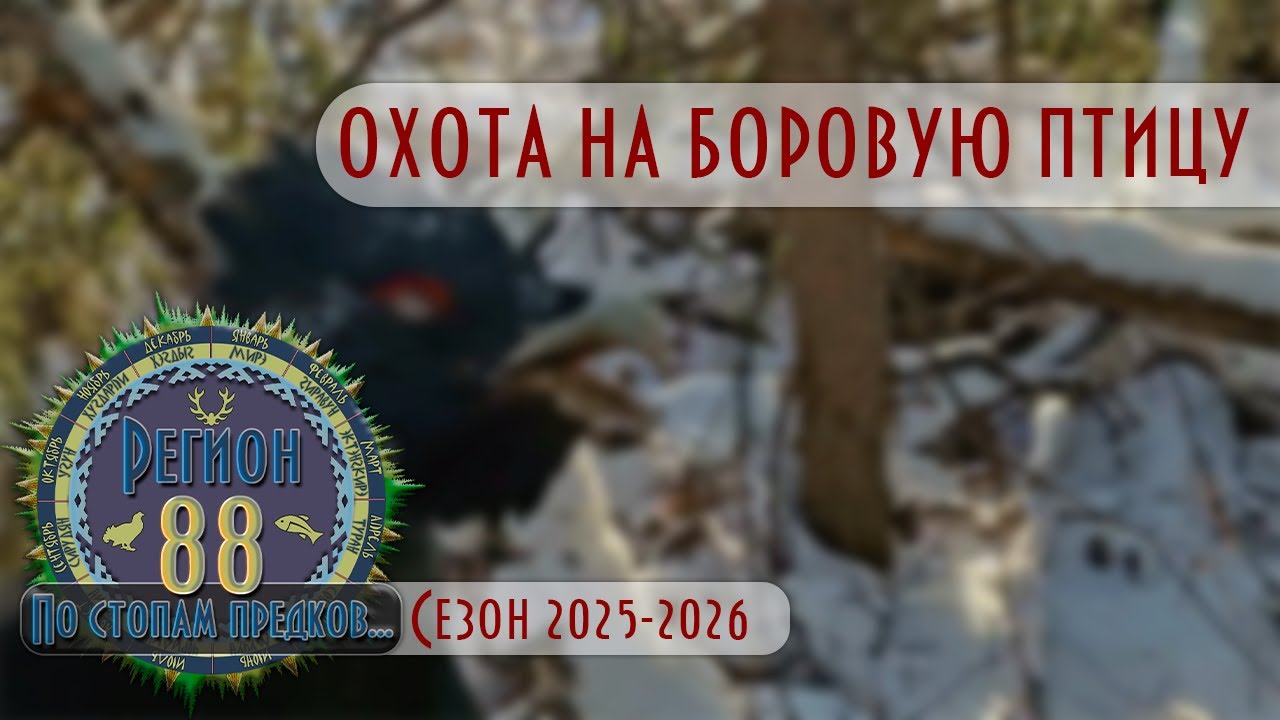 Регион 88 | Сезон 2025 - 2026 | Oхота на боровую птицу с ТОЗ-78-01 | ч.3