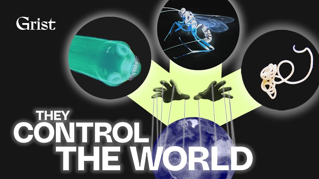 Nature's misunderstood puppet masters