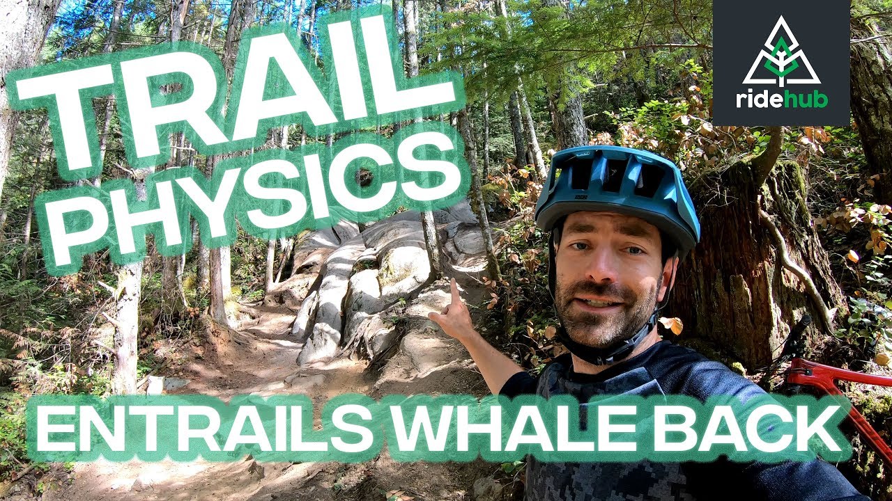 WHY YOU CRASHED ON THE ENTRAILS WHALE BACK - RideHub Trail Physics S1:E1