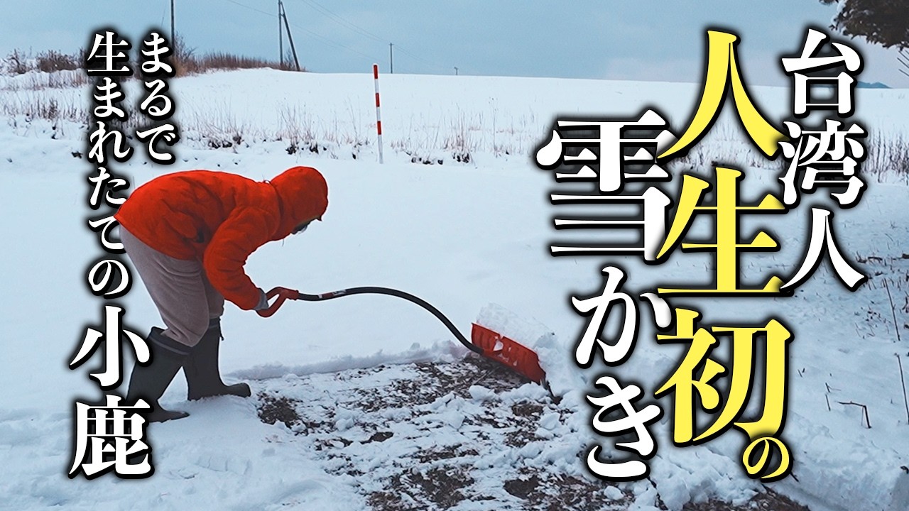 北海道・氷点下の暮らし。人生初の雪かきに戸惑う台湾人の妻。築43年の「眠れる空間」発掘と、絶景を呼ぶ窓の交換 #3