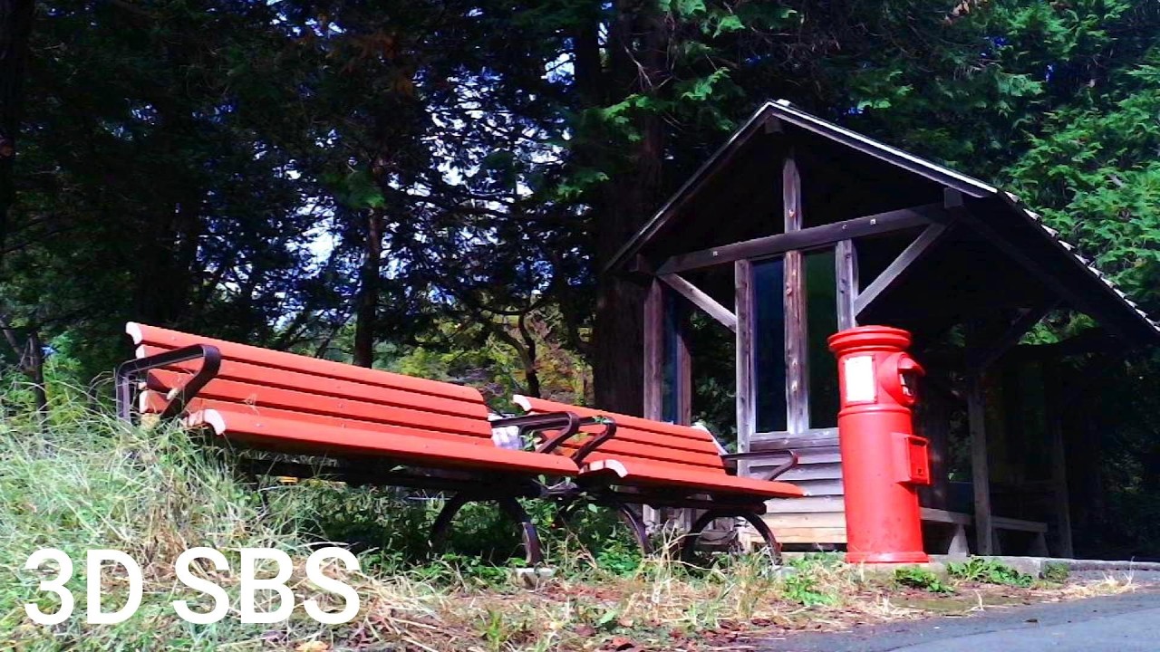 Unused Scenes #04 | 3D SBS VR | QooCam EGO 視力回復・立体視