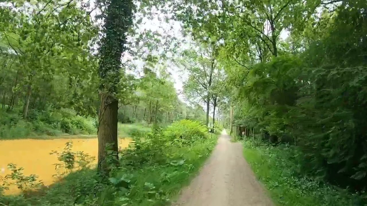 Gravel testride Ridley Grifn.
