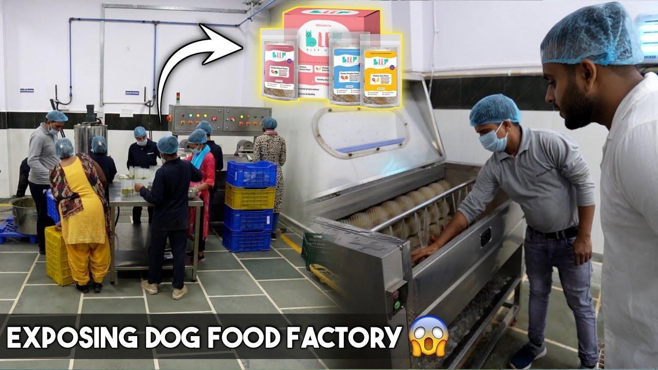 How Dog Food is Made in Big Industries in India 🇮🇳 😱 (Big Expose)