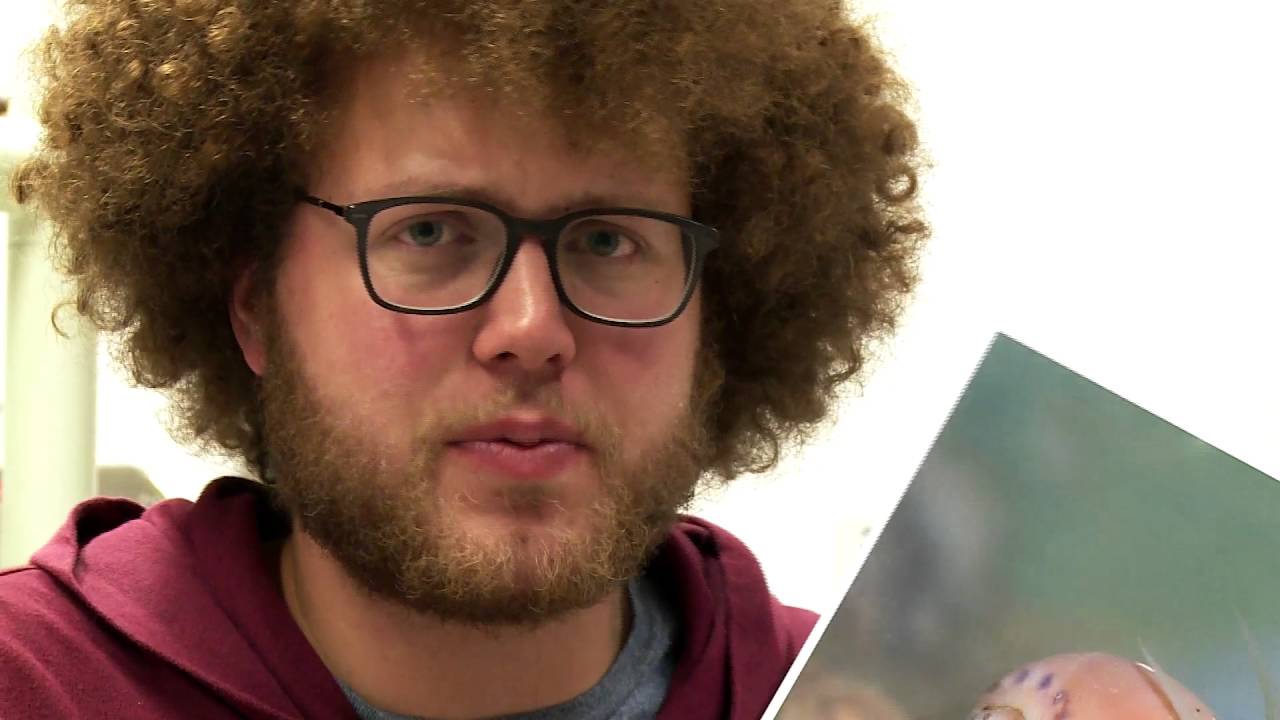 WAAROM ZITTEN ER IN SOMMIGE SCHELPEN  GAATJES? // Willem Wever // #2