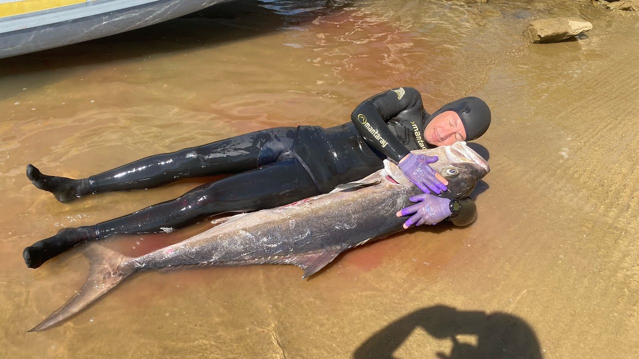 Spearfishing amberjack's summer 2024 🔱 10, 13.5, 15, 19 and 36kg @Neptunus-NS @spearfishing @diving