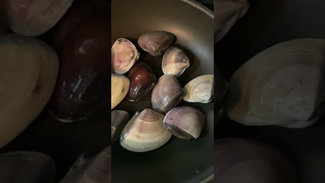 ごろごろハマグリだよ。　海辺の暮らし