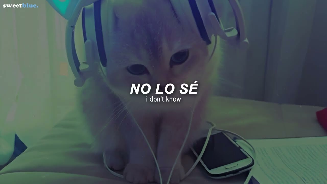Erika - I Don't Know (Sub. Español + Lyrics)