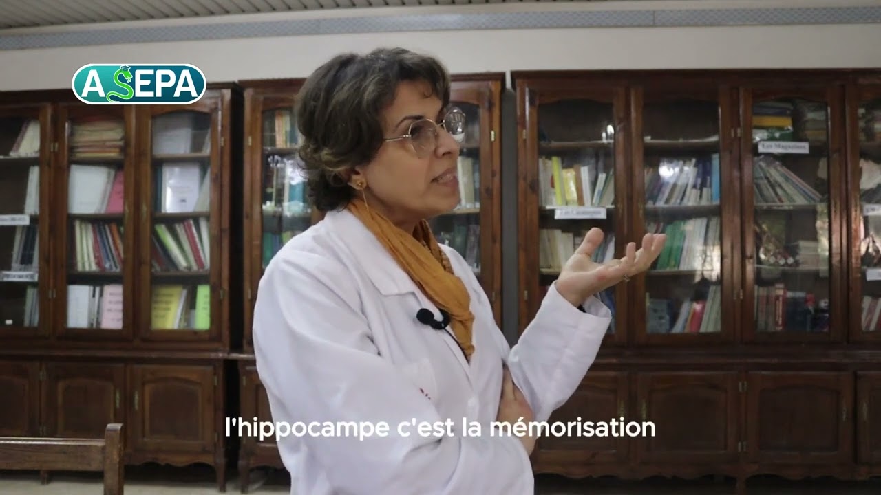 La PRÉGABALINE : un guide complet sur cette molécule révolutionnaire souvent victime de mésusage.