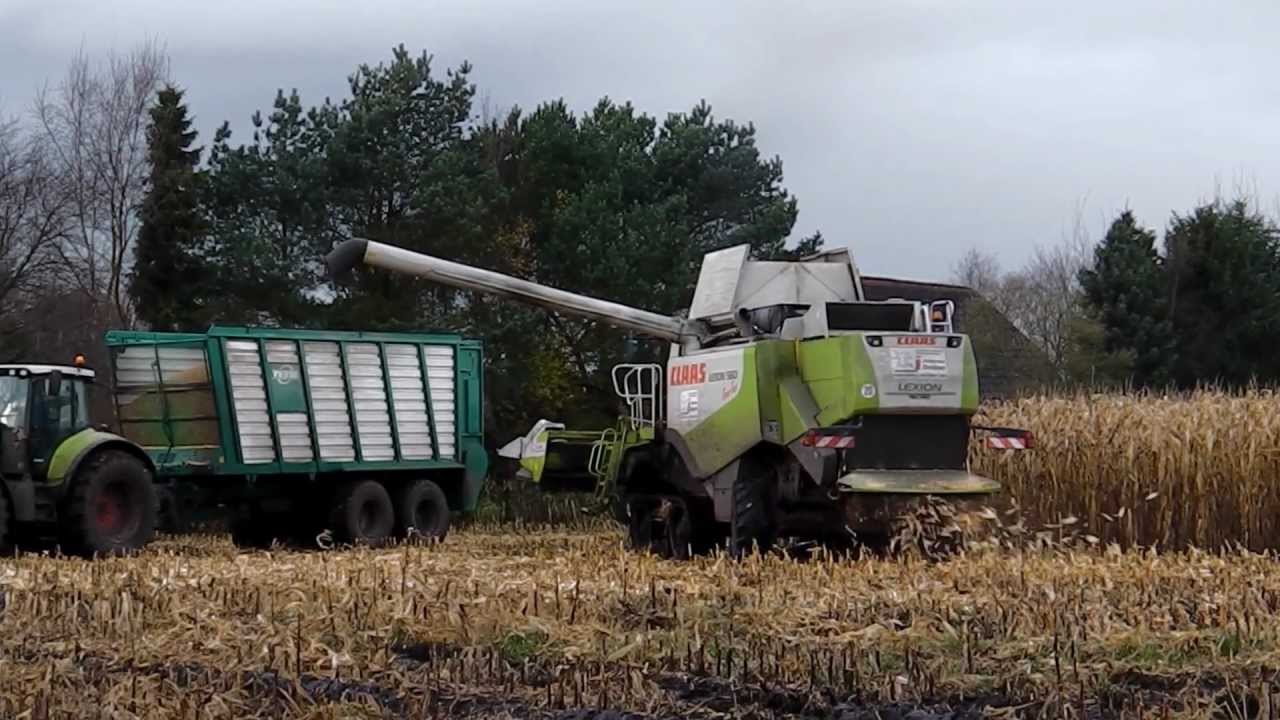 Claas Lexion 560 TT im Moor am Maisdreschen