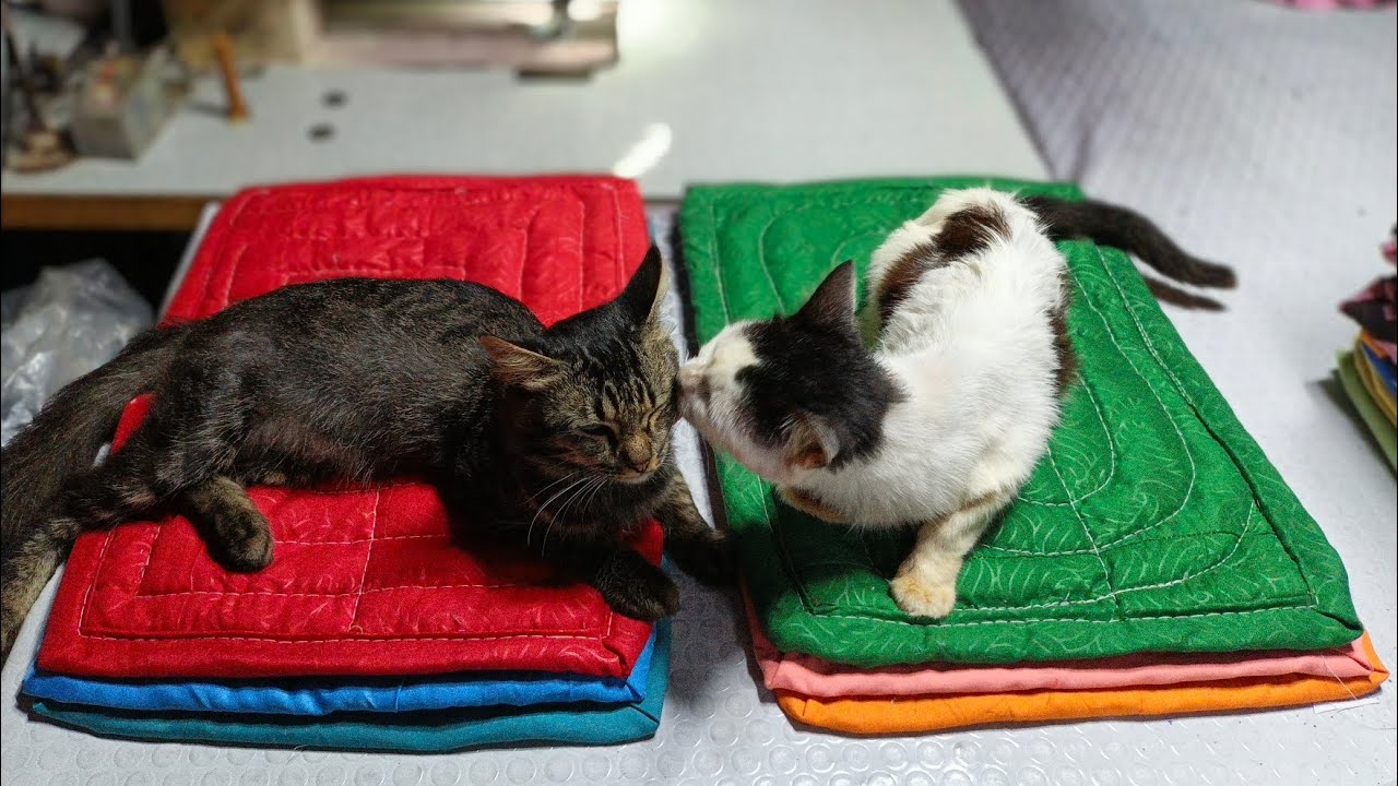 New Improved Sewing Method, DIY Doormat Making Process