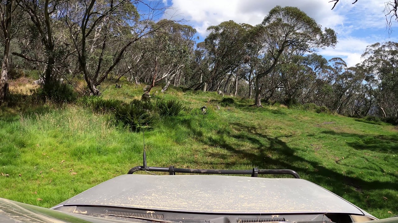 Lovicks Hut Campground - Alpine NP - Victoria