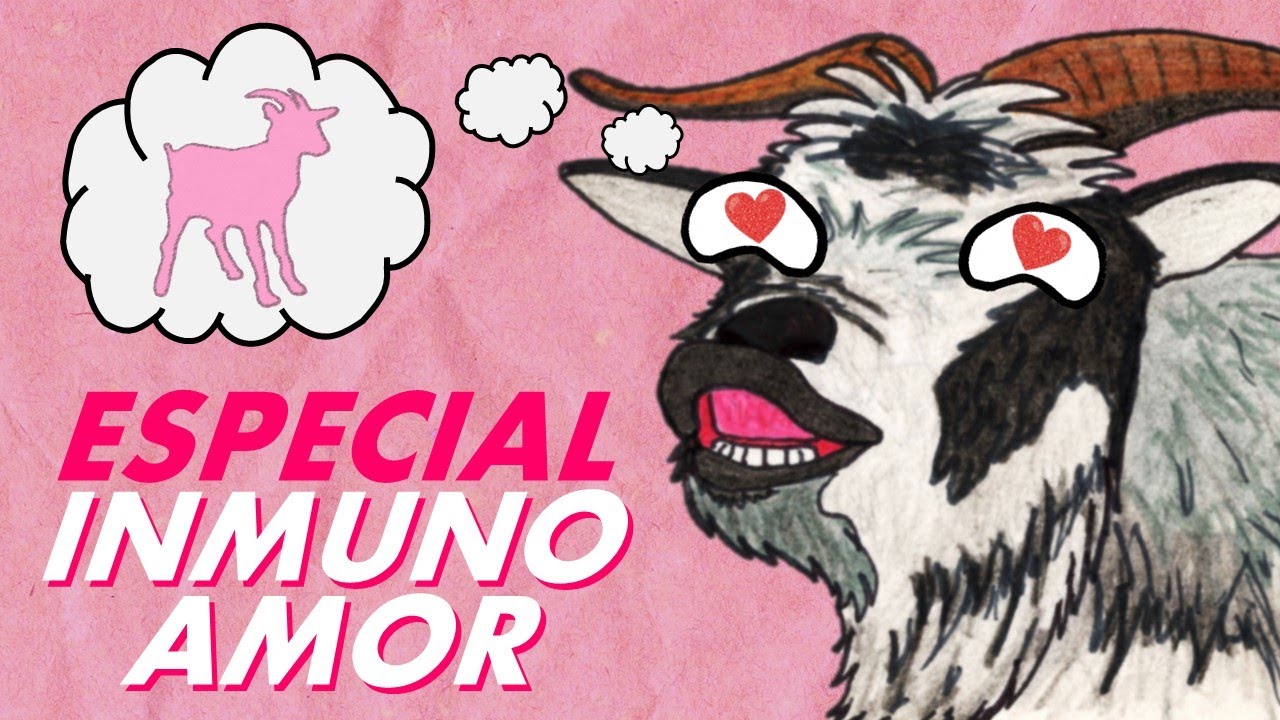 ¿El OLOR de tu PAREJA te ATRAE? ❤ | Las Feromonas y el Sistema Inmunitario