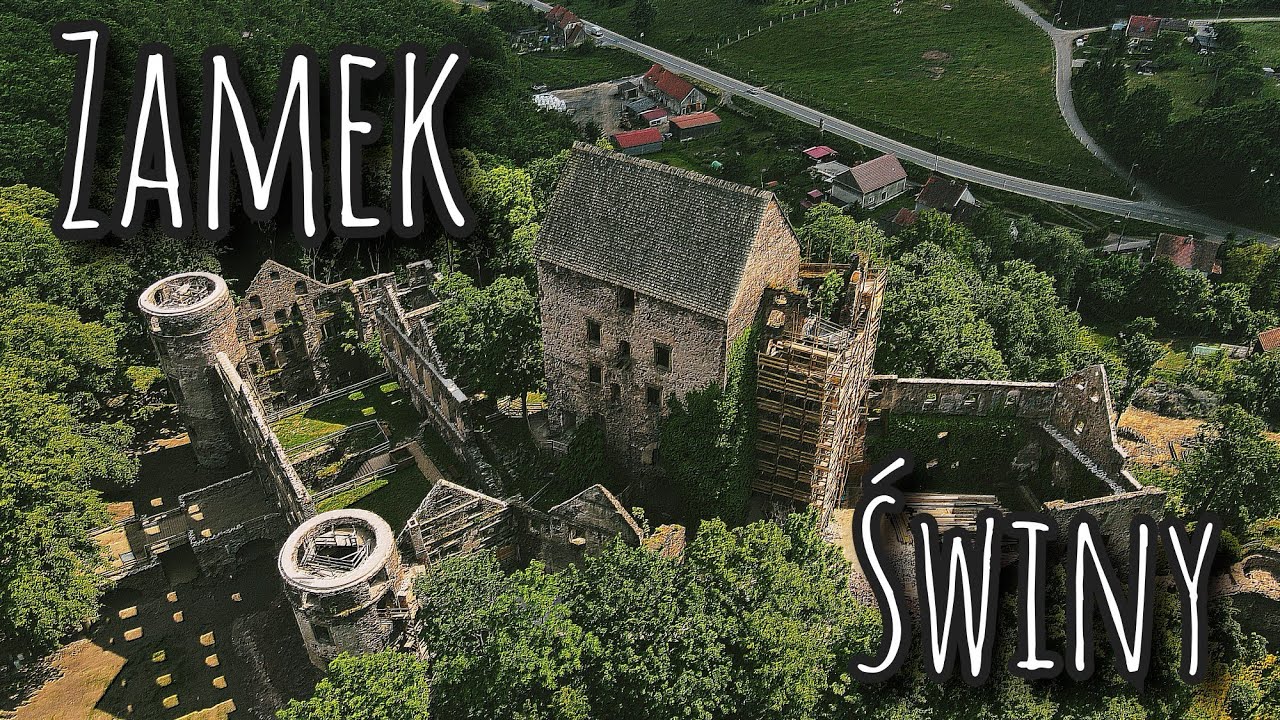Zamek Świny #34