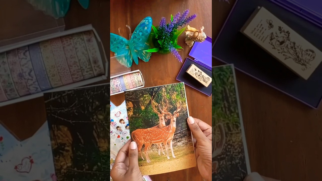Simple greeting card deco ideas🎀 