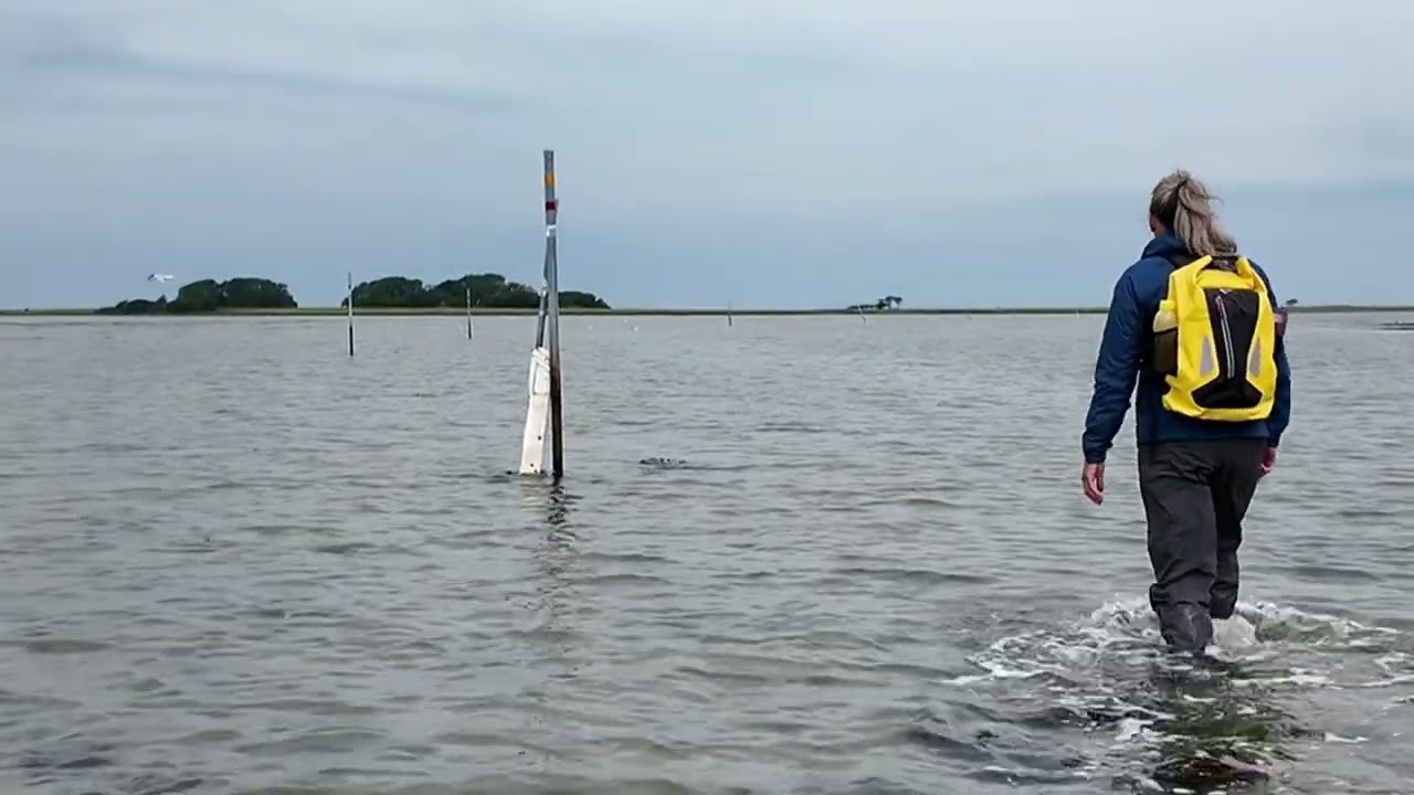 Besøg på ÆbelØ Juni 2024