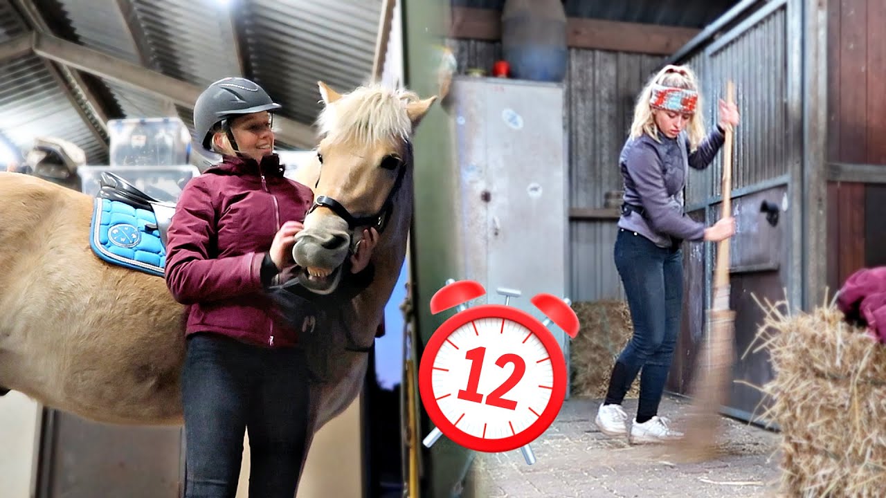 CHALLENGE: 12 UUR LANG OP STAL BIJ DE PAARDEN! | Vlogmas #183