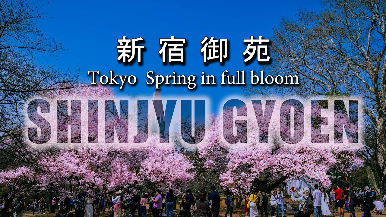 【131】15分で巡る  新宿御苑  春  ｜  Spring, 15-minute tour of Shinjuku Gyoen