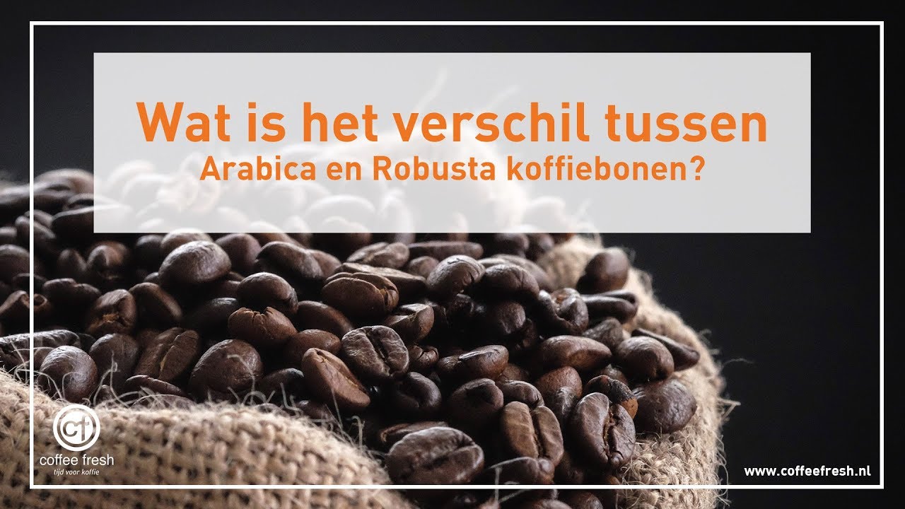 Wat is het verschil tussen arabica robusta koffiebonen?