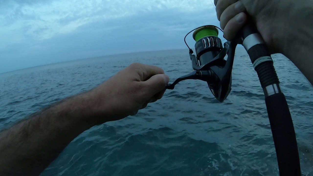 Shimano Twin Power XD 4000 XG almost got spooled by big False Albacore