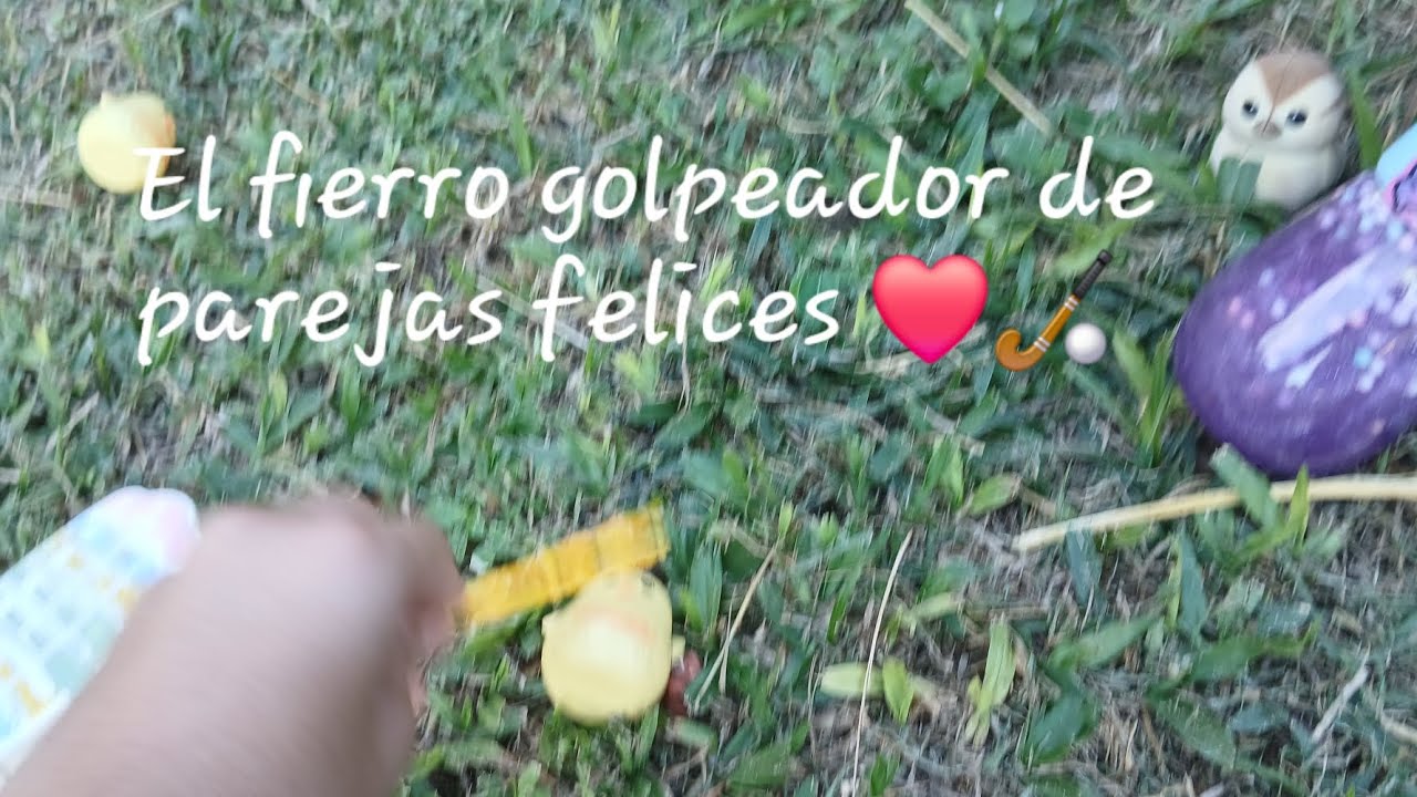 El fierro golpeador de parejas felices ❤️🏑 (El origen del Gran Pato Malvado)