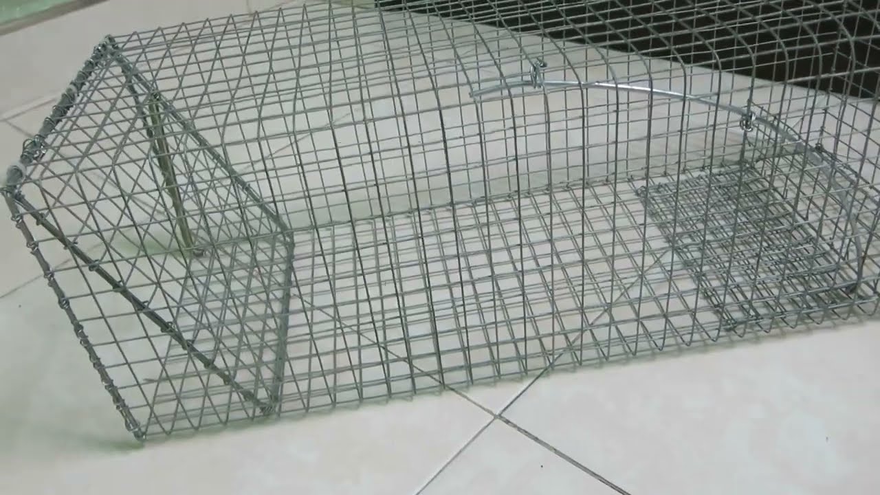 Lồng bẫy Mèo, Chồn, Bìm bịp... tốt nhất năm 2022. (Cage trap for Cats, Ferrets anh Conglomerate...)