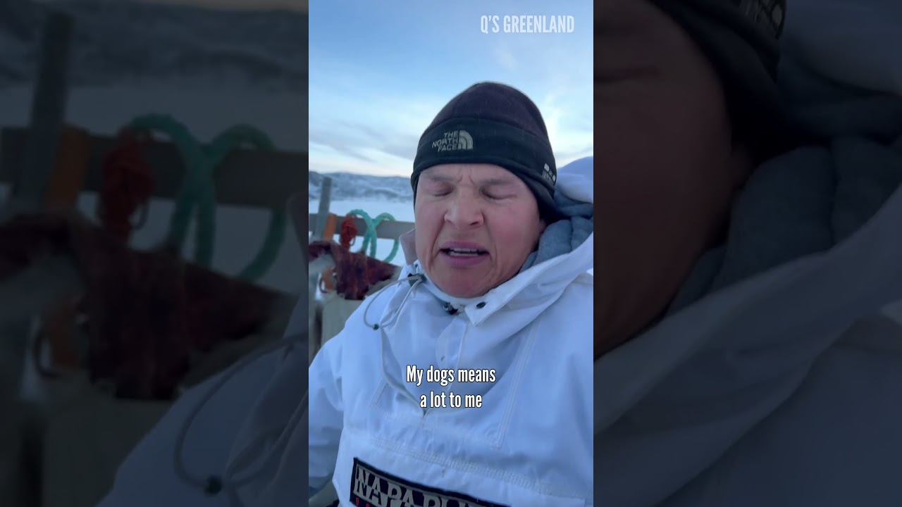 Have you ever been on a dog sled ride?