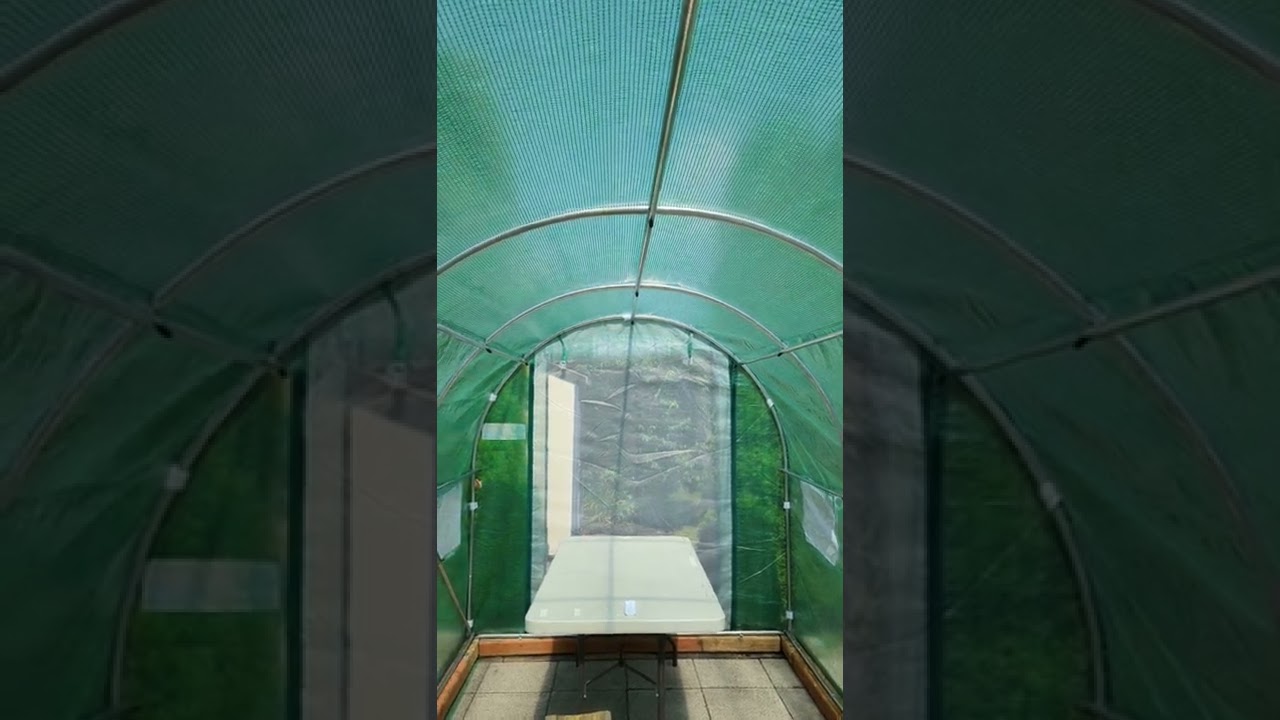 King Bird 15 x 6.6 x 6.6 Greenhouse review