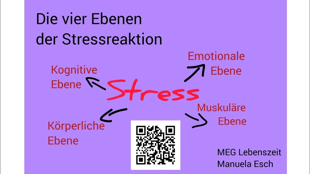 Die 4 Ebenen der Stressreaktion