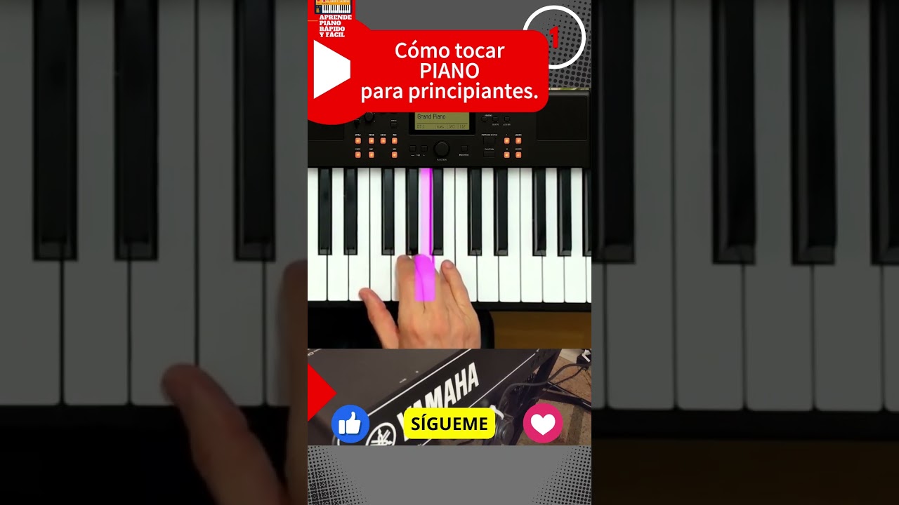 Cómo tocar PIANO para principiantes.