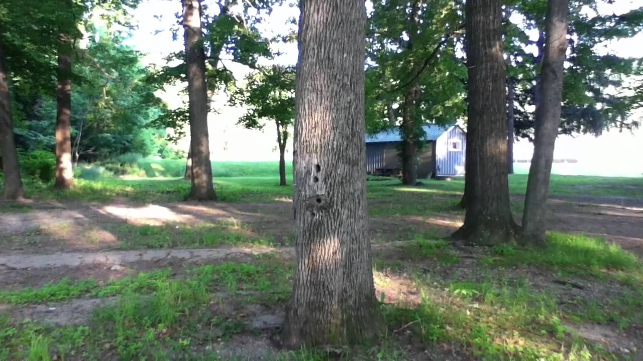 Ninja Sighting!