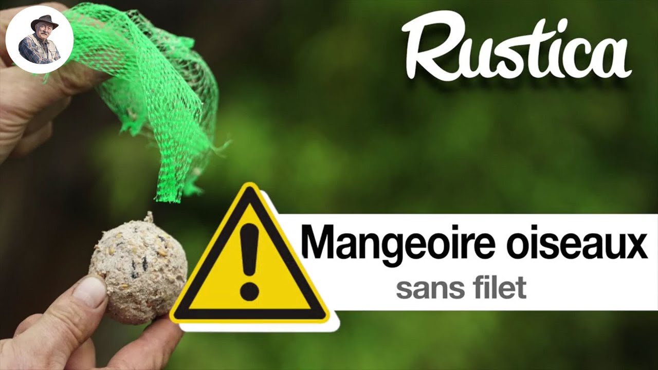 Une mangeoire de boules de graisse pour oiseaux sans filet dangereux