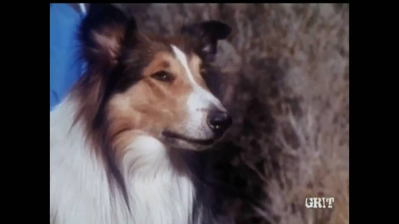 Lassie - Episode #472 - 